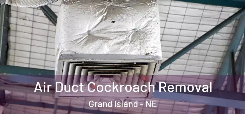  Air Duct Cockroach Removal Grand Island - NE