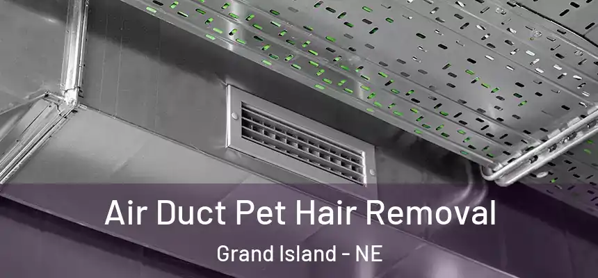  Air Duct Pet Hair Removal Grand Island - NE