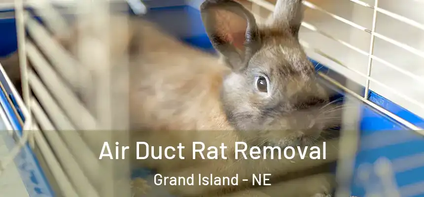 Air Duct Rat Removal Grand Island - NE