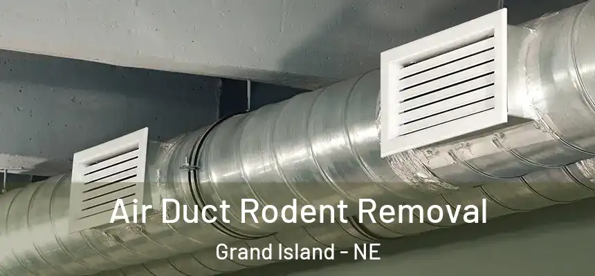  Air Duct Rodent Removal Grand Island - NE