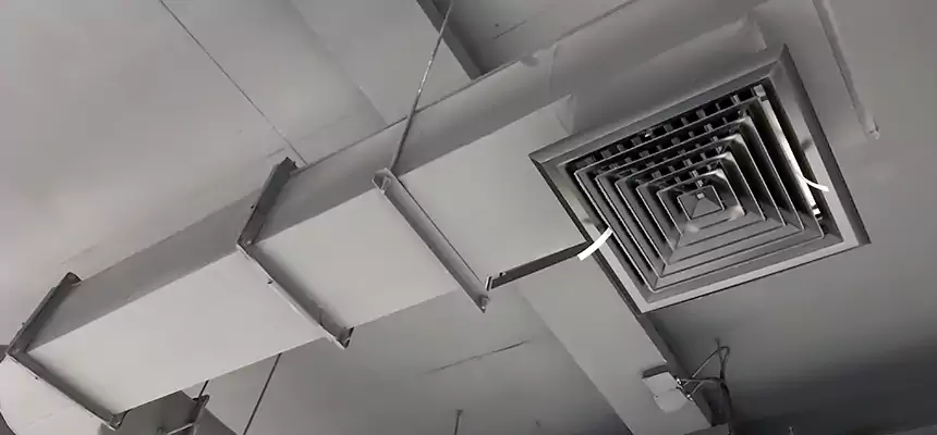 Our Pest Removal From Ducts Services in Grand Island, NE