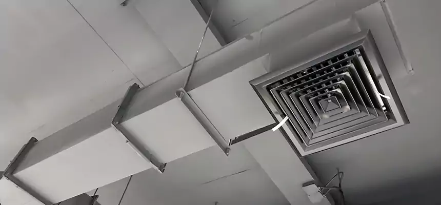 Our Rodent Droppings In Vents Services in Grand Island, NE