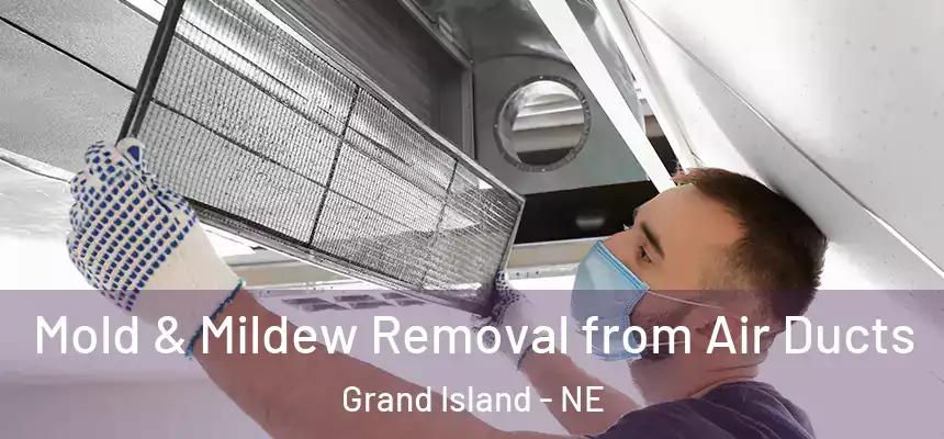  Mold & Mildew Removal from Air Ducts Grand Island - NE