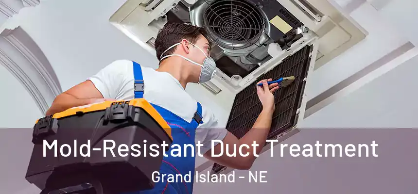 Mold-Resistant Duct Treatment Grand Island - NE