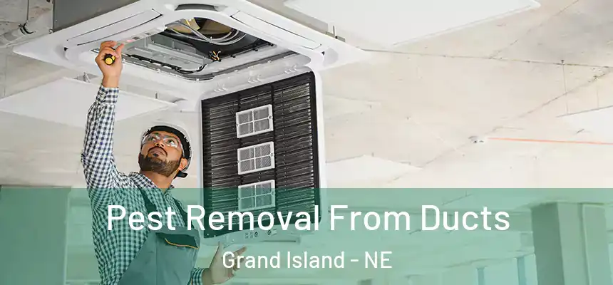 Pest Removal From Ducts Grand Island - NE