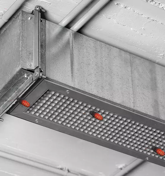 About Air Duct Cockroach Removal in Grand Island, NE