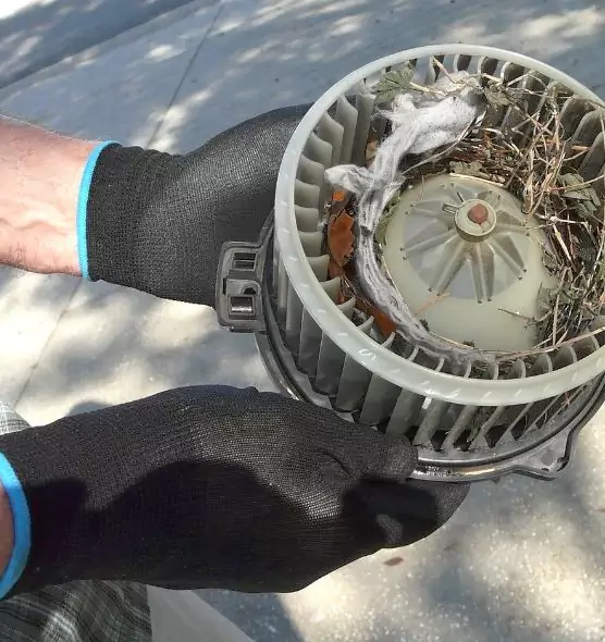 About Air Duct Mice Removal in Grand Island, NE