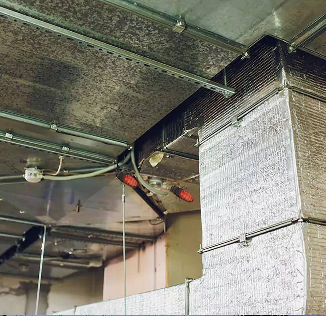 Why Homeowners & Businesses Trust Us in Grand Island, NE?