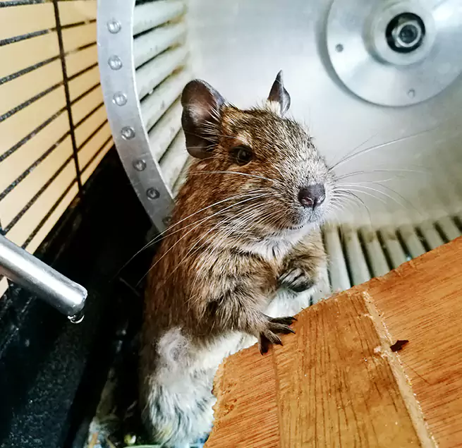 Why Homeowners & Businesses Trust Us Grand Island, NE